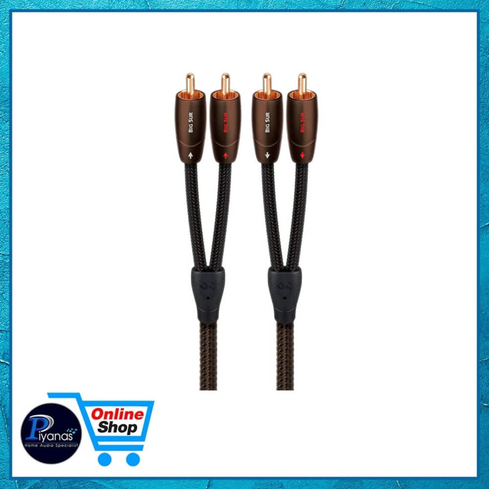 สายสัญญาณอนาล็อก AUDIOQUEST : BIG SUR (RCA TO RCA) (2.0M)